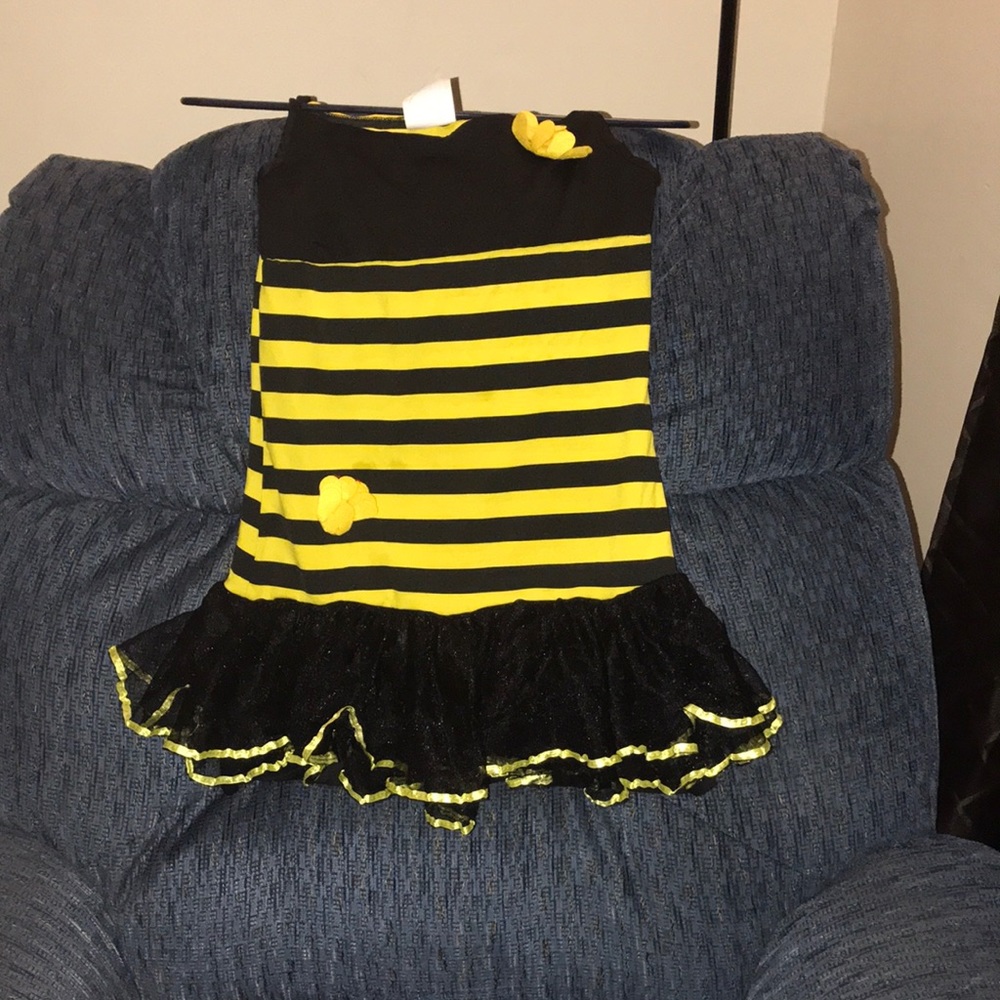 Girls bee costume